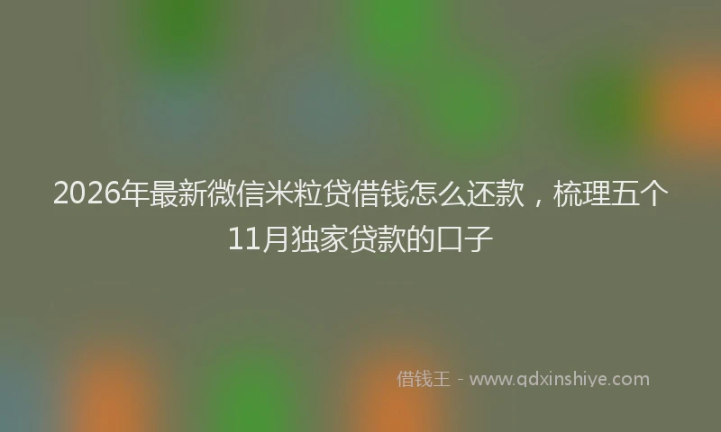 2026年最新微信米粒贷借钱怎么还款，梳理五个11月独家贷款的口子