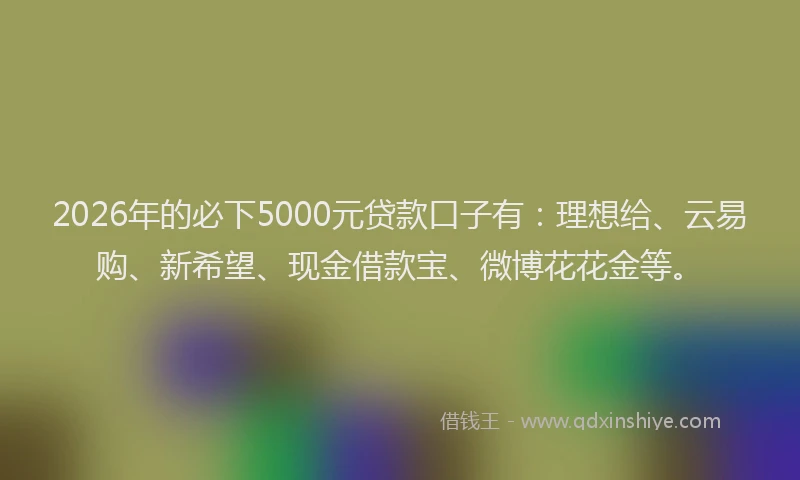 2026年的必下5000元贷款口子有：理想给、云易购、新希望、现金借款宝、微博花花金等。