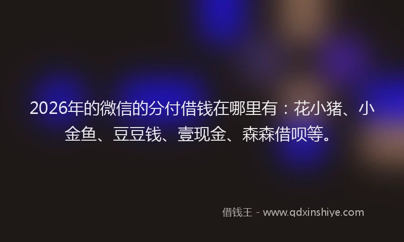 2026年的微信的分付借钱在哪里有：花小猪、小金鱼、豆豆钱、壹现金、森森借呗等。