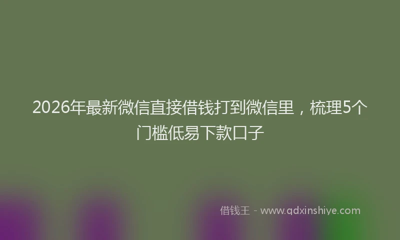 2026年最新微信直接借钱打到微信里，梳理5个门槛低易下款口子