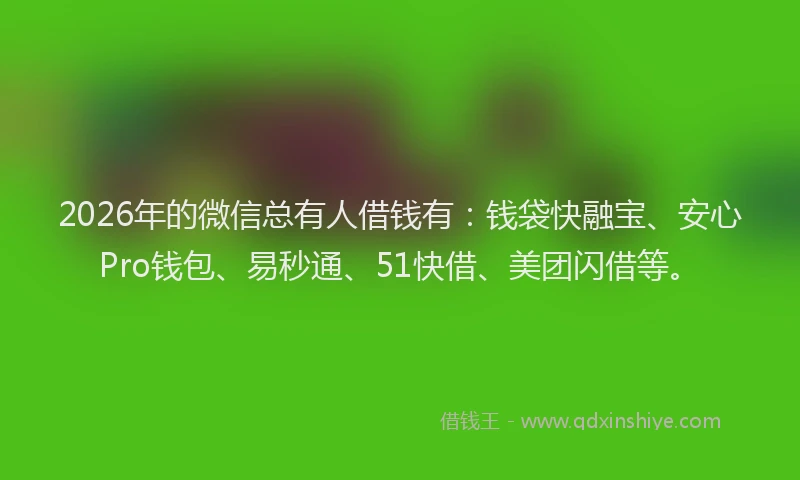 2026年的微信总有人借钱有：钱袋快融宝、安心Pro钱包、易秒通、51快借、美团闪借等。