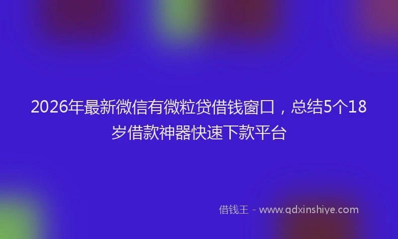 2026年最新微信有微粒贷借钱窗口，总结5个18岁借款神器快速下款平台