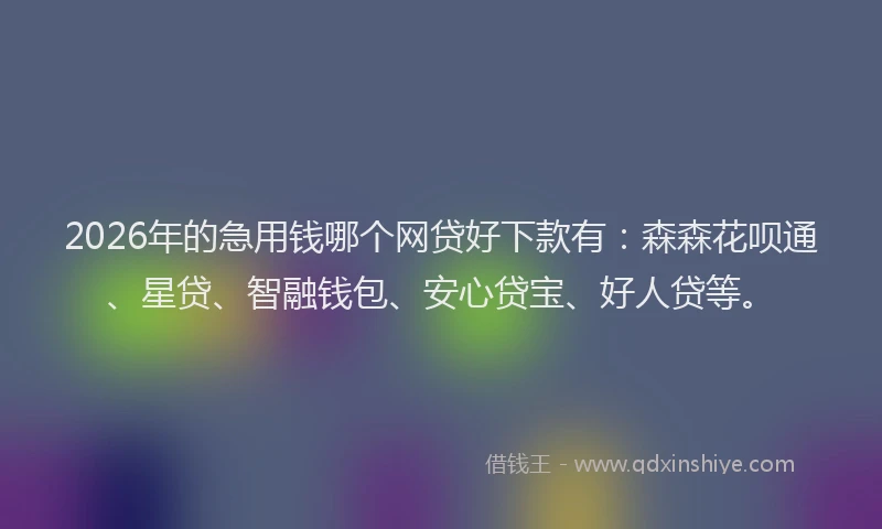 2026年的急用钱哪个网贷好下款有:森森花呗通、星贷、智融钱包、安心贷宝、好人贷等。