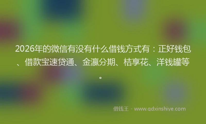 2026年的微信有没有什么借钱方式有：正好钱包、借款宝速贷通、金瀛分期、桔享花、洋钱罐等。