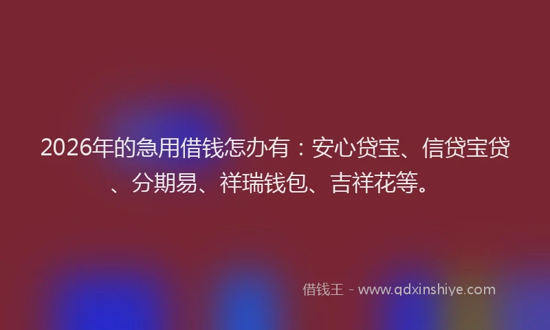 2026年的急用借钱怎办有:安心贷宝、信贷宝贷、分期易、祥瑞钱包、吉祥花等。