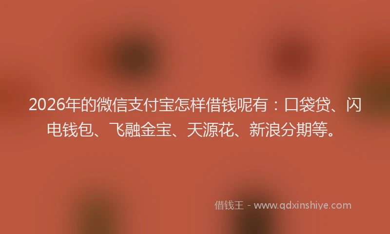 2026年的微信支付宝怎样借钱呢有：口袋贷、闪电钱包、飞融金宝、天源花、新浪分期等。