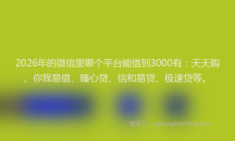 2026年的微信里哪个平台能借到3000有:天天购、你我易借、臻心贷、信和易贷、极速贷等。