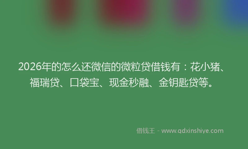 2026年的怎么还微信的微粒贷借钱有：花小猪、福瑞贷、口袋宝、现金秒融、金钥匙贷等。