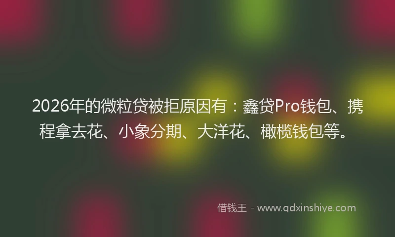 2026年的微粒贷被拒原因有：鑫贷Pro钱包、携程拿去花、小象分期、大洋花、橄榄钱包等。