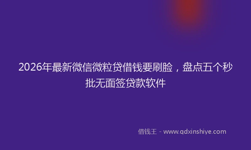 2026年最新微信微粒贷借钱要刷脸，盘点五个秒批无面签贷款软件