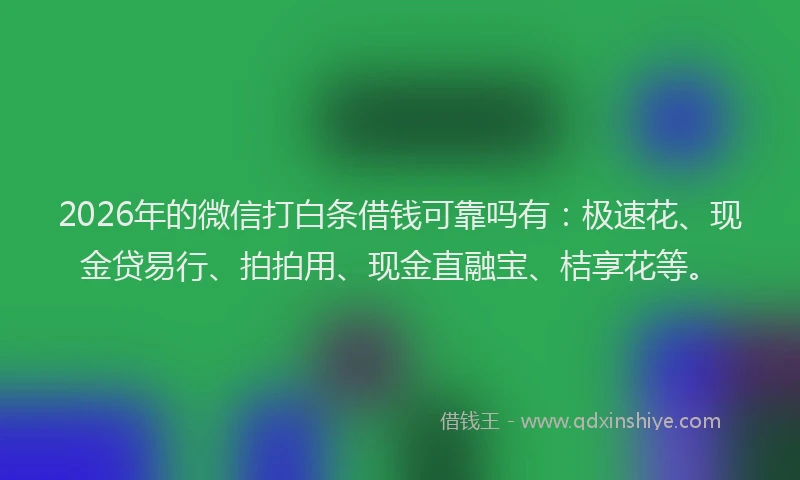 2026年的微信打白条借钱可靠吗有：极速花、现金贷易行、拍拍用、现金直融宝、桔享花等。