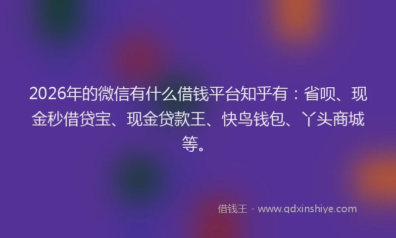 2026年的微信有什么借钱平台知乎有：省呗、现金秒借贷宝、现金贷款王、快鸟钱包、丫头商城等。