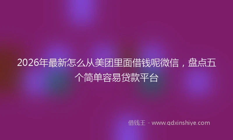 2026年最新怎么从美团里面借钱呢微信，盘点五个简单容易贷款平台