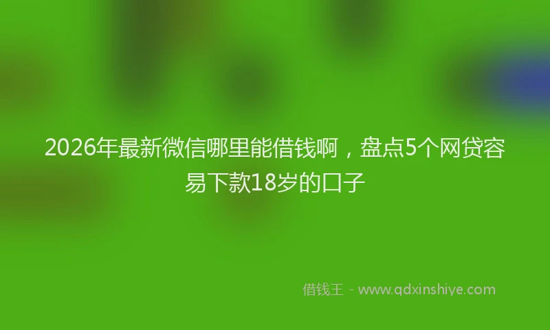 2026年最新微信哪里能借钱啊，盘点5个网贷容易下款18岁的口子