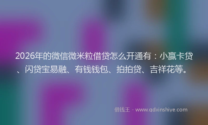 2026年的微信微米粒借贷怎么开通有：小赢卡贷、闪贷宝易融、有钱钱包、拍拍贷、吉祥花等。