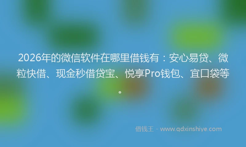 2026年的微信软件在哪里借钱有：安心易贷、微粒快借、现金秒借贷宝、悦享Pro钱包、宜口袋等。
