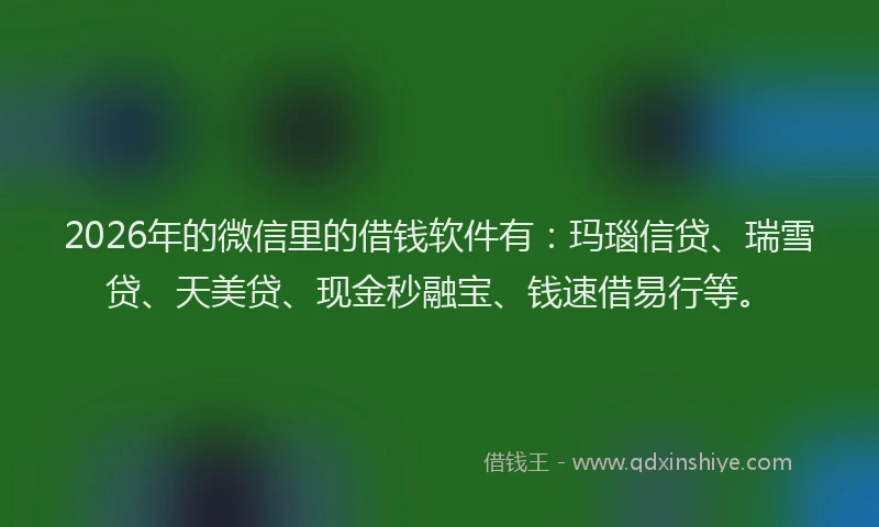 2026年的微信里的借钱软件有：玛瑙信贷、瑞雪贷、天美贷、现金秒融宝、钱速借易行等。