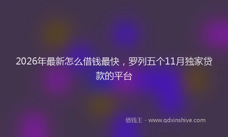 2026年最新怎么借钱最快，罗列五个11月独家贷款的平台