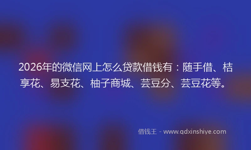 2026年的微信网上怎么贷款借钱有：随手借、桔享花、易支花、柚子商城、芸豆分、芸豆花等。