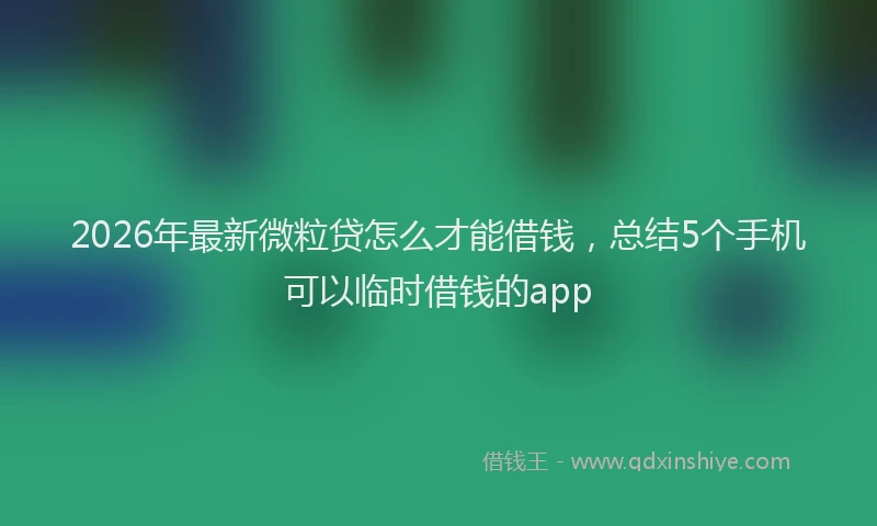 2026年最新微粒贷怎么才能借钱，总结5个手机可以临时借钱的app