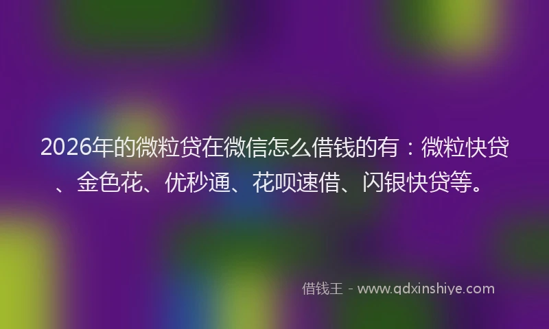 2026年的微粒贷在微信怎么借钱的有：微粒快贷、金色花、优秒通、花呗速借、闪银快贷等。