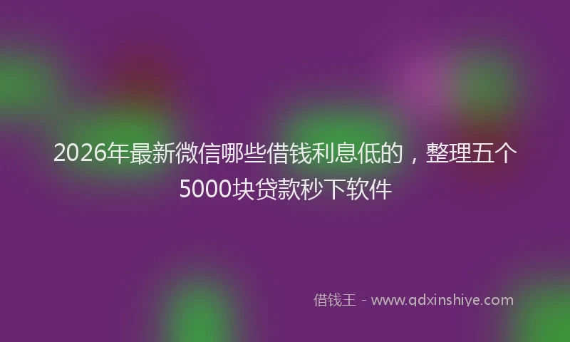 2026年最新微信哪些借钱利息低的，整理五个5000块贷款秒下软件