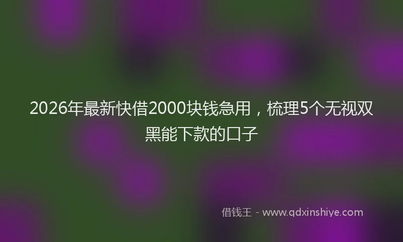 2026年最新快借2000块钱急用，梳理5个无视双黑能下款的口子
