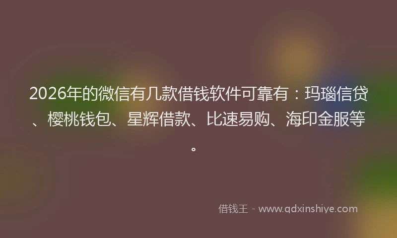 2026年的微信有几款借钱软件可靠有：玛瑙信贷、樱桃钱包、星辉借款、比速易购、海印金服等。