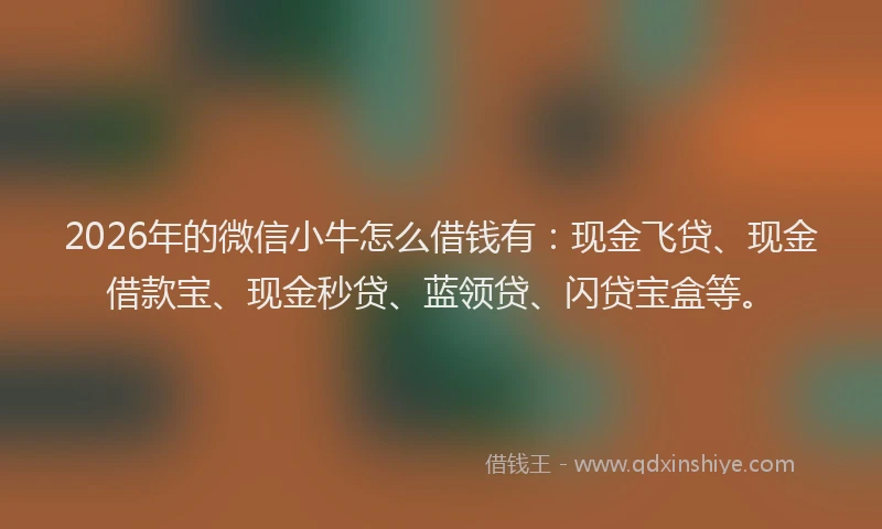 2026年的微信小牛怎么借钱有：现金飞贷、现金借款宝、现金秒贷、蓝领贷、闪贷宝盒等。