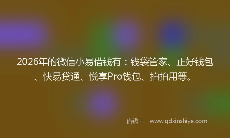 2026年的微信小易借钱有：钱袋管家、正好钱包、快易贷通、悦享Pro钱包、拍拍用等。