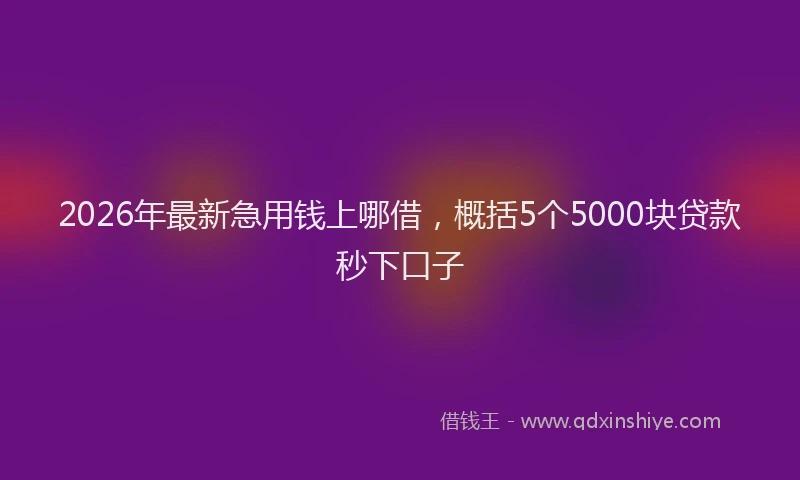 2026年最新急用钱上哪借,概括5个5000块贷款秒下口子