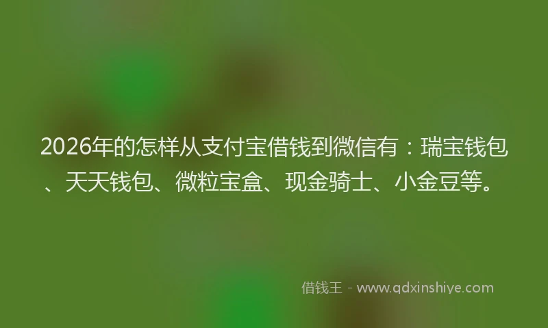 2026年的怎样从支付宝借钱到微信有:瑞宝钱包、天天钱包、微粒宝盒、现金骑士、小金豆等。