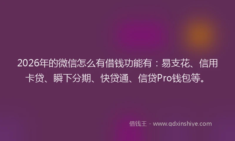 2026年的微信怎么有借钱功能有：易支花、信用卡贷、瞬下分期、快贷通、信贷Pro钱包等。