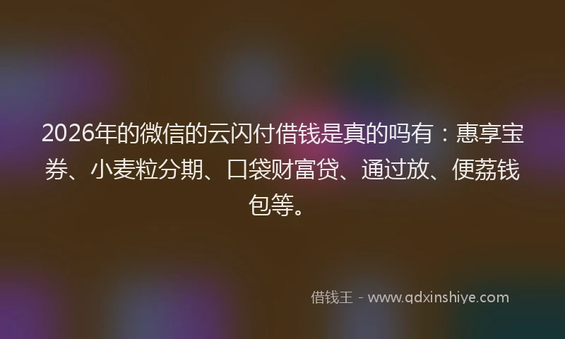 2026年的微信的云闪付借钱是真的吗有：惠享宝券、小麦粒分期、口袋财富贷、通过放、便荔钱包等。