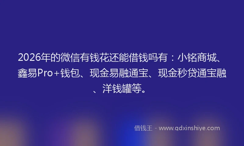 2026年的微信有钱花还能借钱吗有：小铭商城、鑫易Pro+钱包、现金易融通宝、现金秒贷通宝融、洋钱罐等。