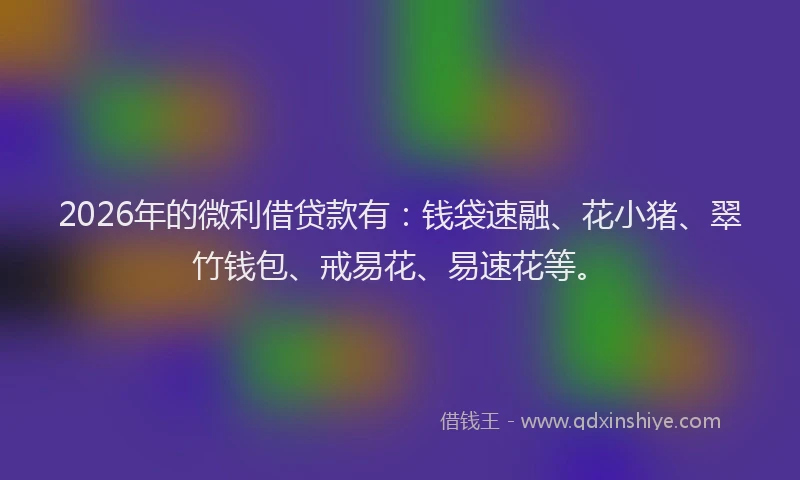 2026年的微利借贷款有：钱袋速融、花小猪、翠竹钱包、戒易花、易速花等。