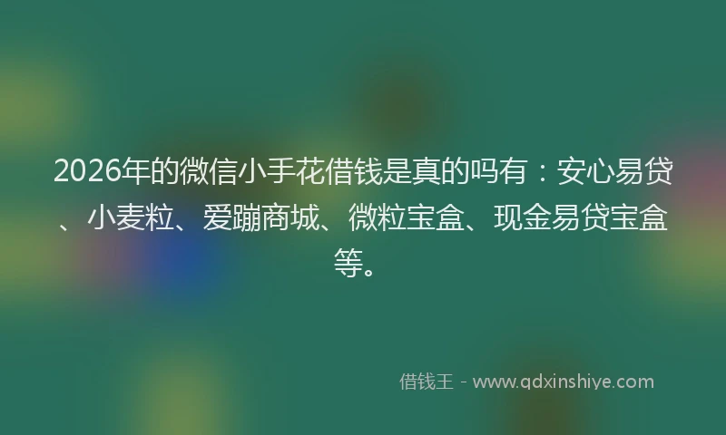 2026年的微信小手花借钱是真的吗有：安心易贷、小麦粒、爱蹦商城、微粒宝盒、现金易贷宝盒等。