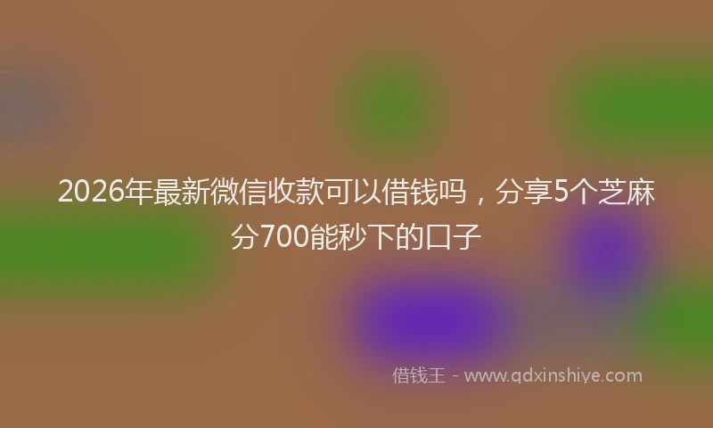 2026年最新微信收款可以借钱吗，分享5个芝麻分700能秒下的口子