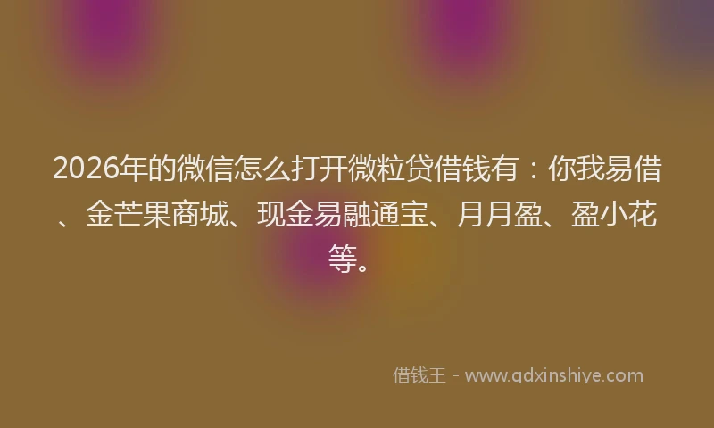 2026年的微信怎么打开微粒贷借钱有：你我易借、金芒果商城、现金易融通宝、月月盈、盈小花等。