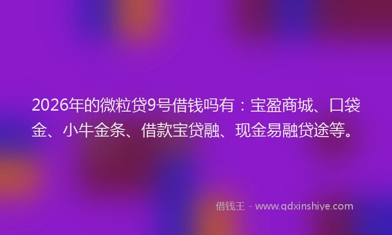 2026年的微粒贷9号借钱吗有：宝盈商城、口袋金、小牛金条、借款宝贷融、现金易融贷途等。