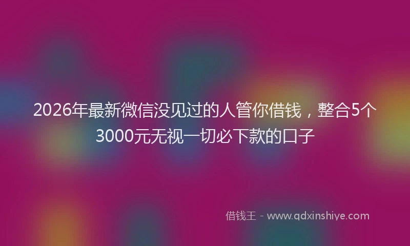 2026年最新微信没见过的人管你借钱，整合5个3000元无视一切必下款的口子