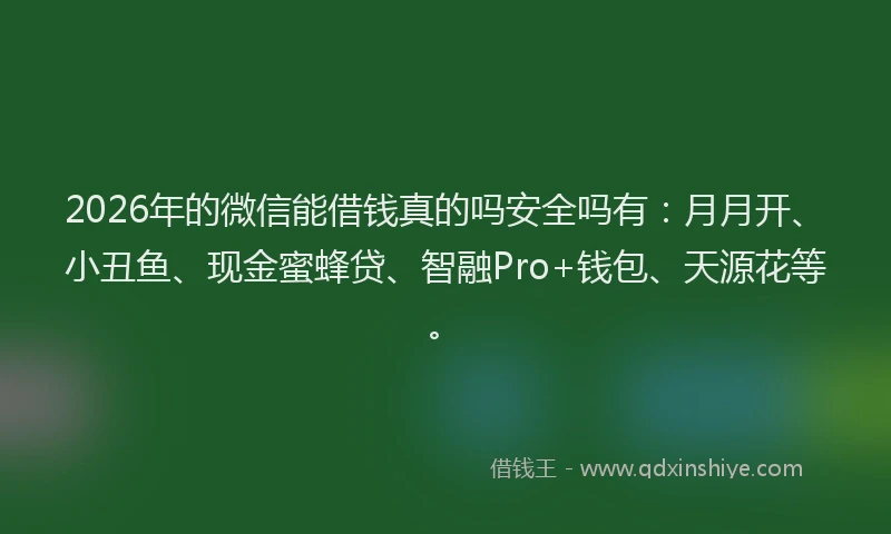 2026年的微信能借钱真的吗安全吗有：月月开、小丑鱼、现金蜜蜂贷、智融Pro+钱包、天源花等。