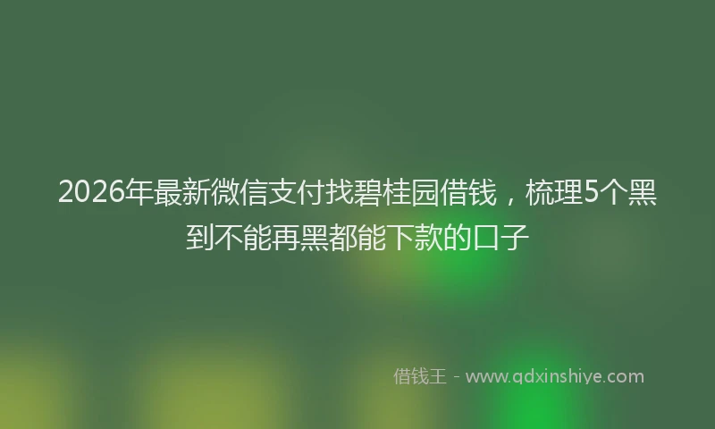 2026年最新微信支付找碧桂园借钱，梳理5个黑到不能再黑都能下款的口子