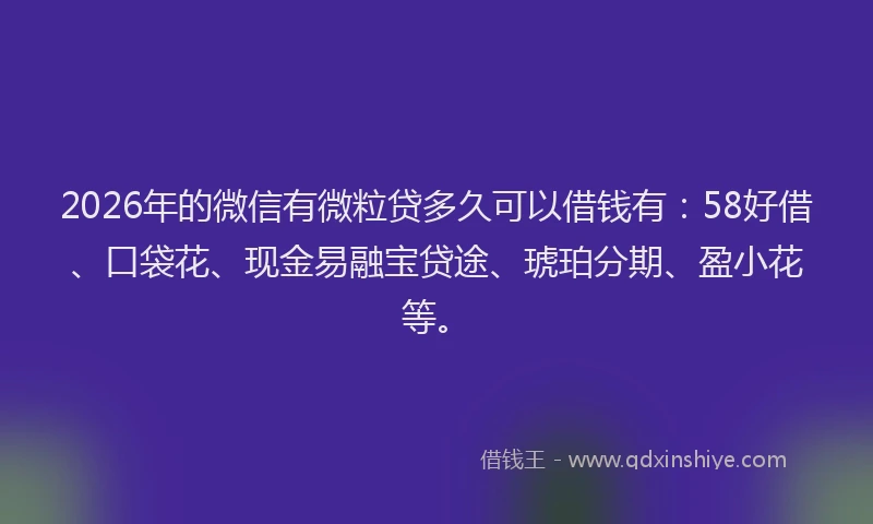 2026年的微信有微粒贷多久可以借钱有：58好借、口袋花、现金易融宝贷途、琥珀分期、盈小花等。