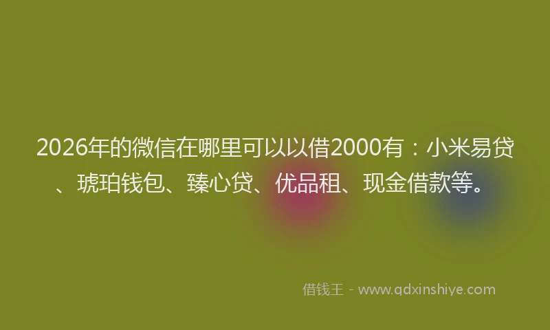 2026年的微信在哪里可以以借2000有：小米易贷、琥珀钱包、臻心贷、优品租、现金借款等。