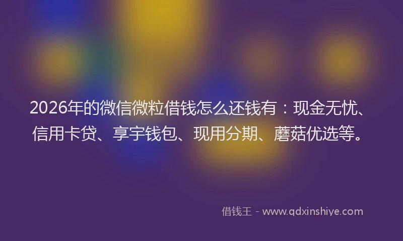 2026年的微信微粒借钱怎么还钱有：现金无忧、信用卡贷、享宇钱包、现用分期、蘑菇优选等。