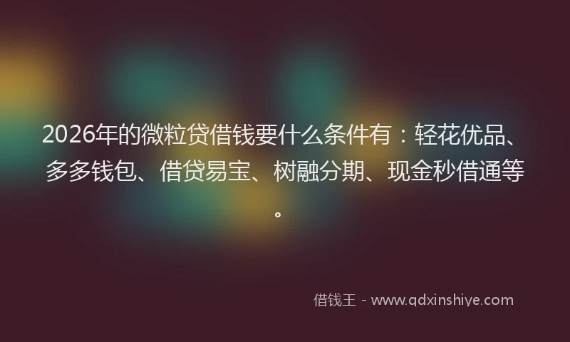 2026年的微粒贷借钱要什么条件有：轻花优品、多多钱包、借贷易宝、树融分期、现金秒借通等。