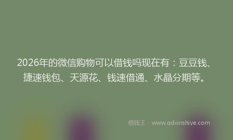 2026年的微信购物可以借钱吗现在有：豆豆钱、捷速钱包、天源花、钱速借通、水晶分期等。