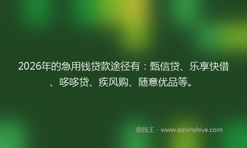 2026年的急用钱贷款途径有：甄信贷、乐享快借、哆哆贷、疾风购、随意优品等。