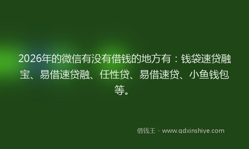 2026年的微信有没有借钱的地方有：钱袋速贷融宝、易借速贷融、任性贷、易借速贷、小鱼钱包等。